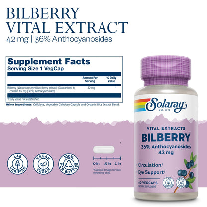 SOLARAY Bilberry Extract 42 mg – Eye Health & Circulation Support | 60 VegCaps