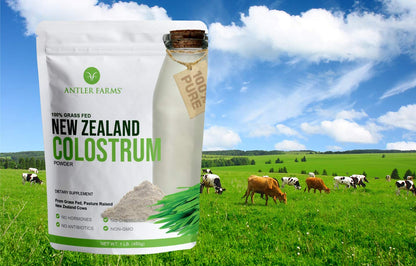 Antler Farms NZ Colostrum – 30 Servings, Grass-Fed, Cold Processed, High IgG, Undiluted