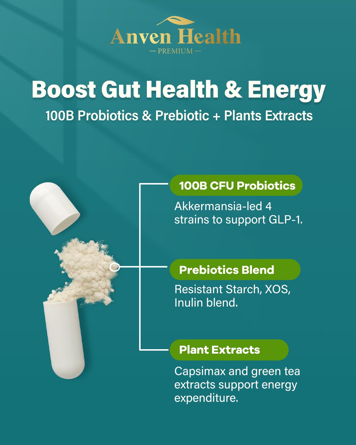 Anven Health GLP-1 Probiotic + Prebiotic, 100B CFU – 180 Capsules