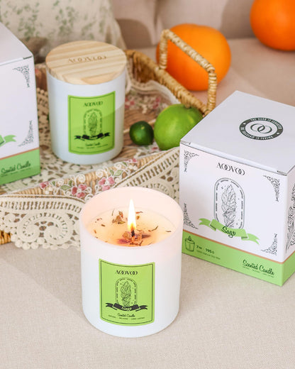 AOOVOO Sage Scented Candles for Women | 10oz Soy Aromatherapy Candle with Crystals Inside