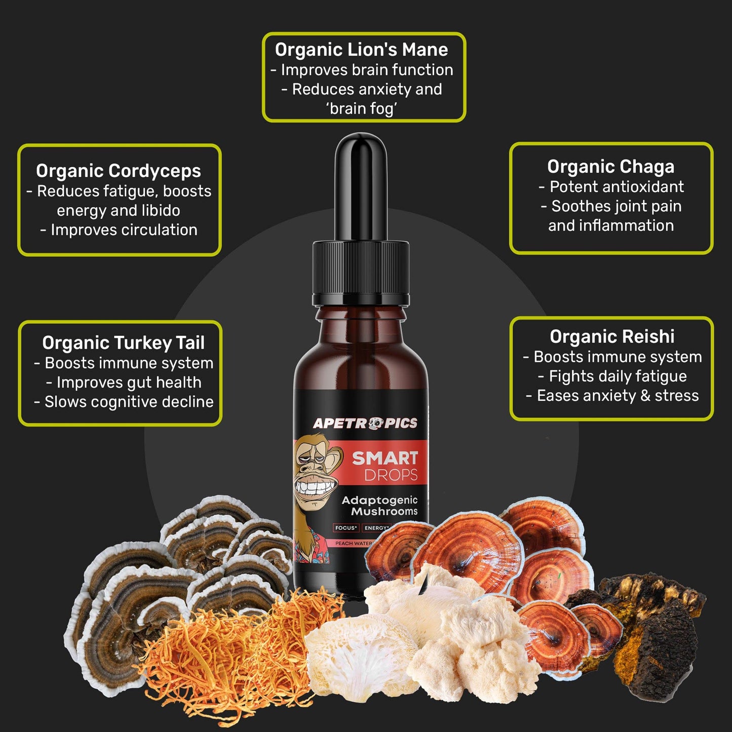 Apetropics Smart Drops - 5-in-1 Adaptogenic Mushroom Tincture for Focus (Lion's Mane, Cordyceps, Turkey Tail, Chaga, Reishi) Peach Watermelon - 30 Servings (3 Pack)
