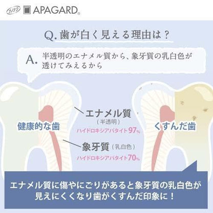 Apogard Smoker Care Toothpaste 3.7oz (105g) – Japanese Renewal 2023 Ver