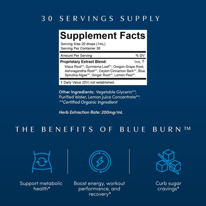 Apothékary Blue Burn Herbal Drops – Metabolism & Weight Management, Made in USA