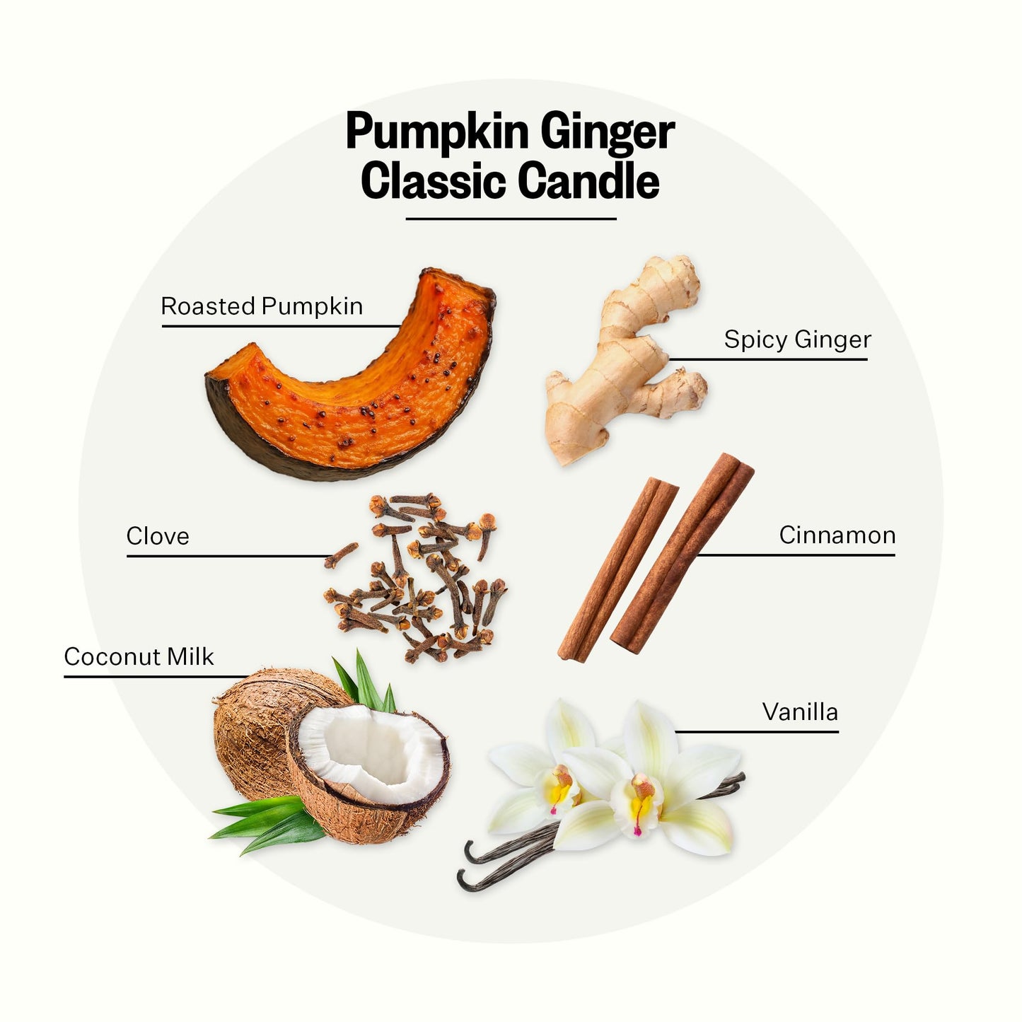 Apotheke Pumpkin Ginger Candle - 10.5 oz Soy Wax Jar | Fall Fragrance