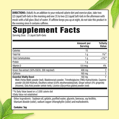 Applied Nutrition Green Tea Fat Burner – EGCG 400 mg + Green Coffee Bean Extract
