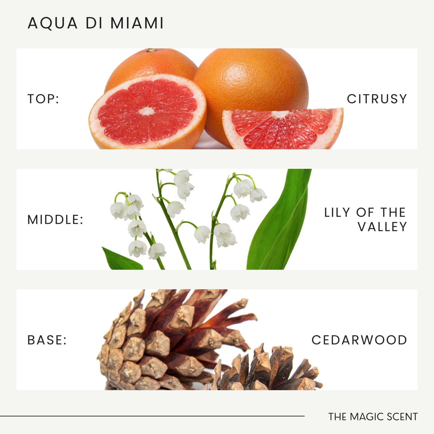 The Magic Scent Aqua di Miami Diffuser Oil – Luxury Hotel & Home Scents | 16.9 fl oz (500 mL)