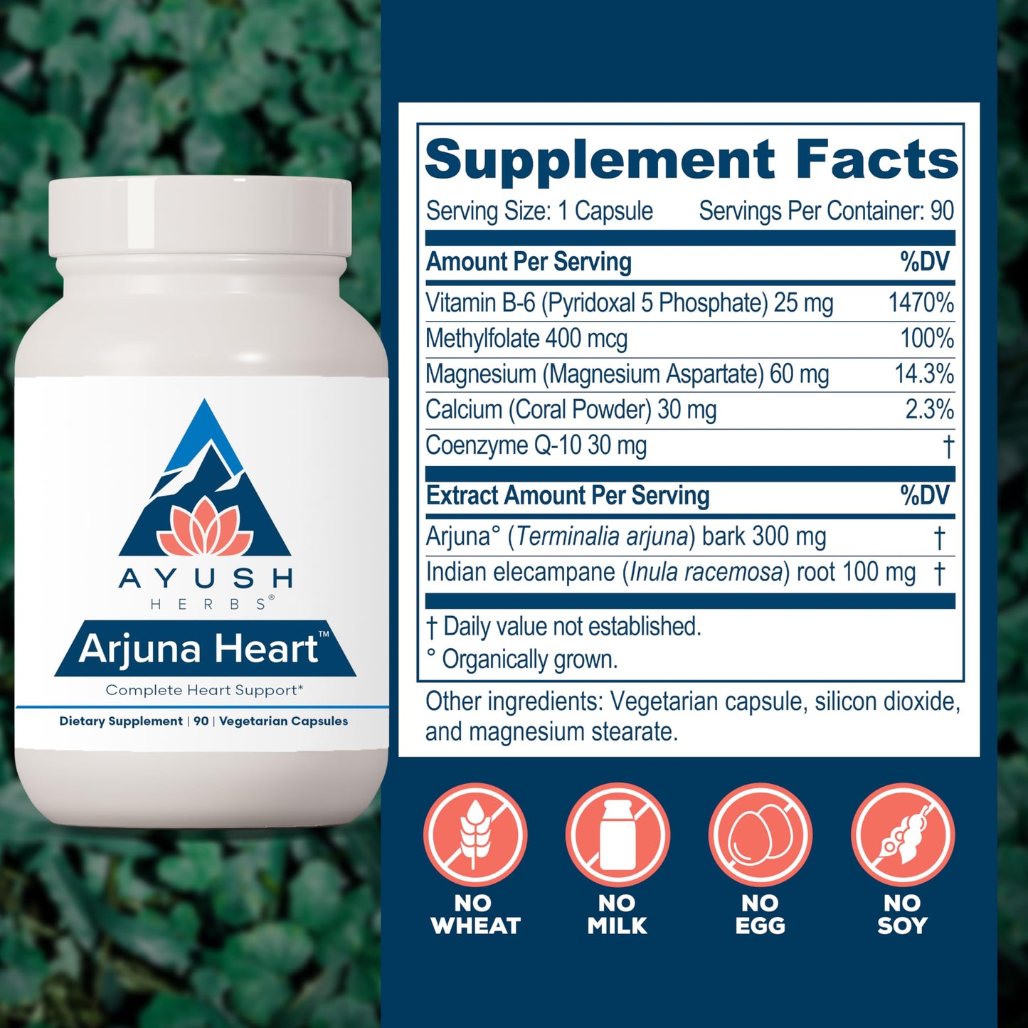 Ayush Herbs Arjuna Heart | Heart Support Supplement | 90 Vegetarian Capsules