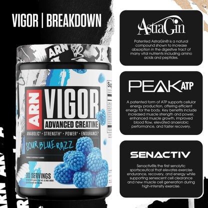 Arms Race Nutrition ARN Vigor Advanced Creatine Formula – 30 Servings (Punch)