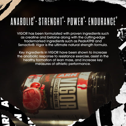 Arms Race Nutrition ARN Vigor Advanced Creatine Formula – 30 Servings (Punch)