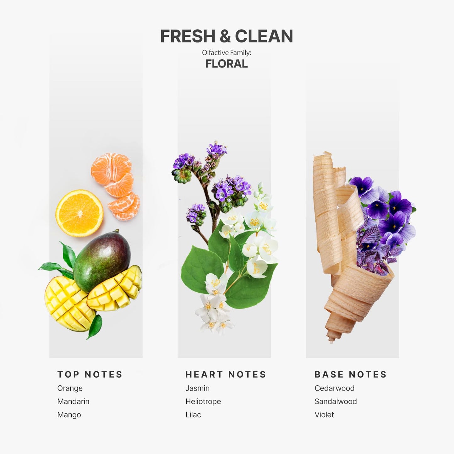 AromaPlan Fresh & Clean 5 oz Diffuser Essential Oil – 2 Pack, USA Made