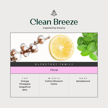 AromaPlan Clean Collection Gift Set – 3 Best-Sellers: Clean House, Clean Laundry, Clean Breeze | USA Made