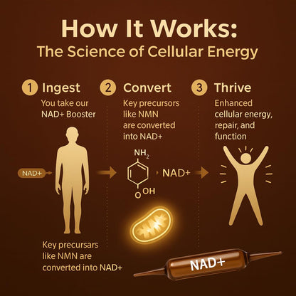 ARSYCHLL NAD Advanced Cellular Renewal - 1200mg NAD Supplement for Skin Aging Support, Energy & Focus - 10 Vials
