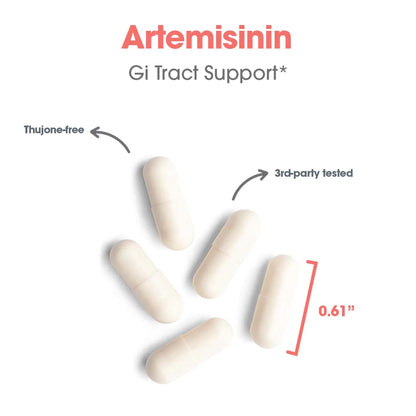 Allergy Research Group Artemisinin Supplement – GI Tract Support, 300 Count