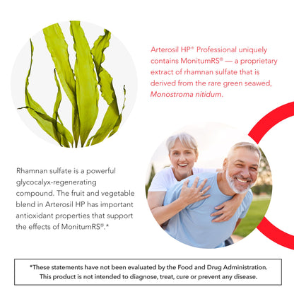 Calroy Arterosil HP Professional – Endothelial Glycocalyx & Circulation Support (MonitumRS®)