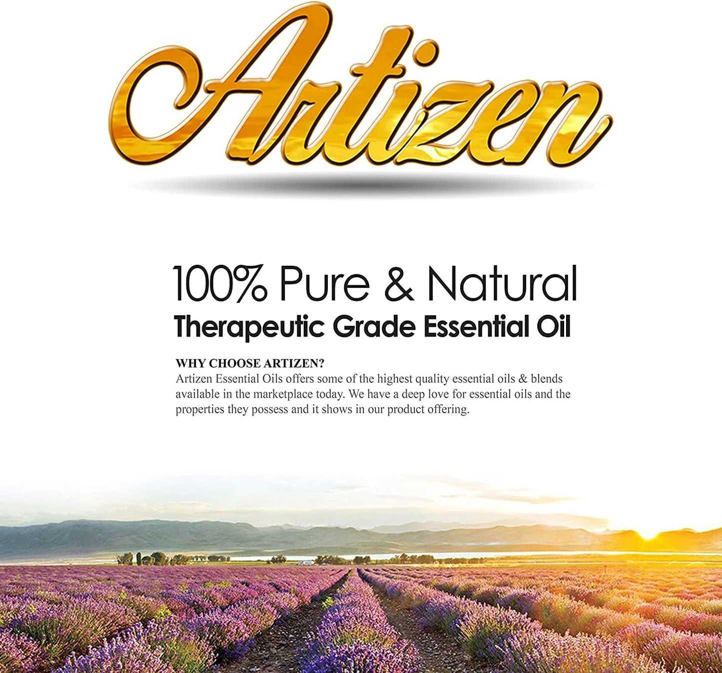 Artizen Allspice Essential Oil 30ml (1 oz) - 100% Pure & Undiluted