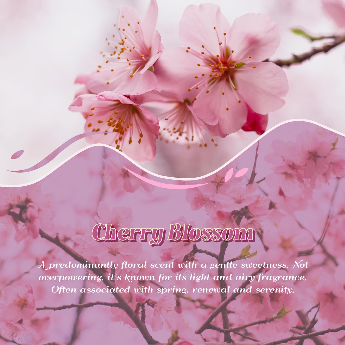 ARVIDSSON Cherry Blossom Essential Oil 4 oz | Pure & Natural Aromatherapy