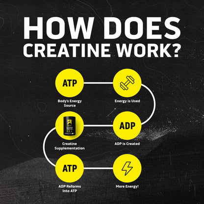 Ascent Clean Creatine Monohydrate Powder – 5G Per Serving, Creapure, Unflavored, 100 Servings