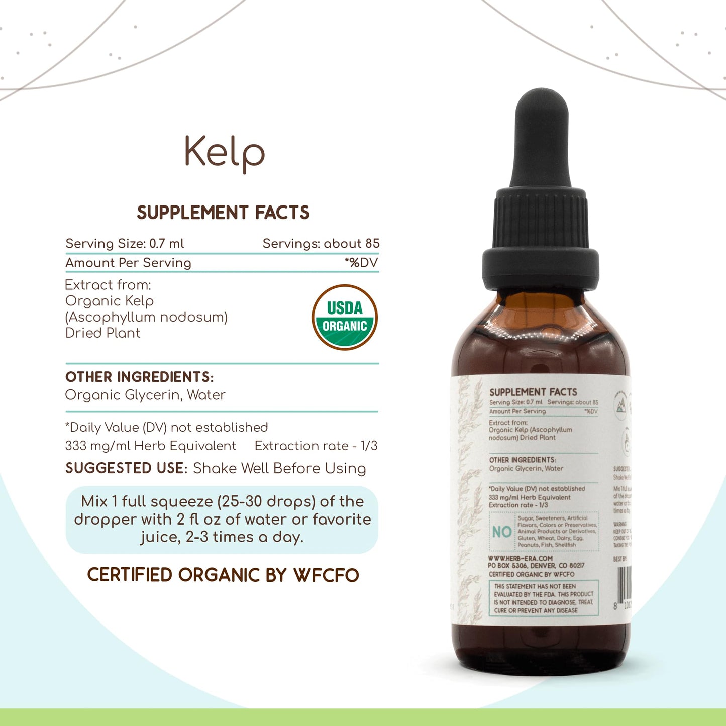 HerbEra Kelp B60 USDA Organic Tincture - Alcohol-Free Extract, High-Potency Drops (2 oz) | Certified Organic Kelp (Ascophyllum nodosum) Dried Plant