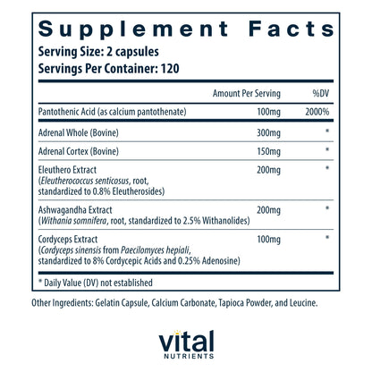 Vital Nutrients Adrenal Support - Stress Response & Energy Support, Gluten Free, 240 Capsules