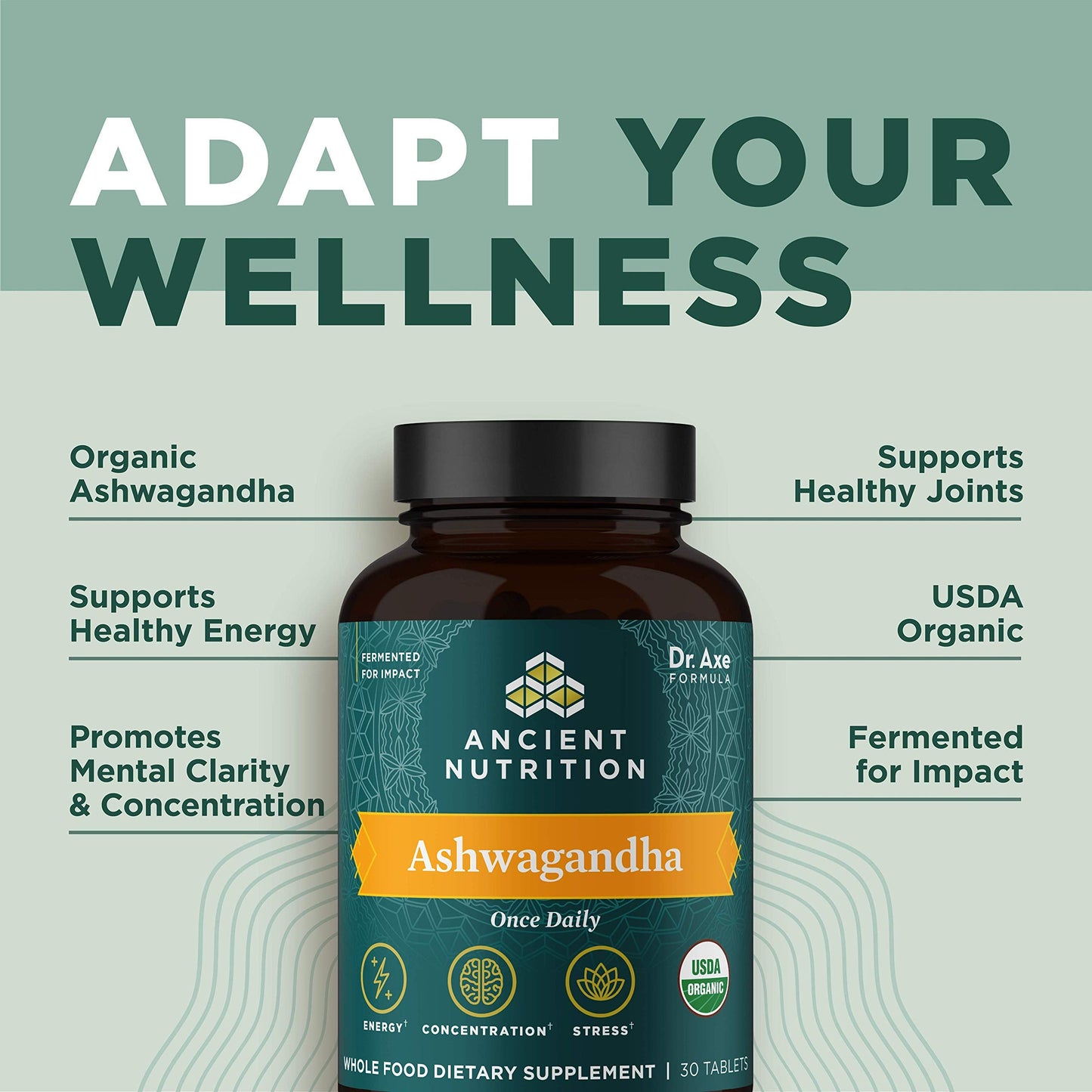 Ancient Nutrition Ashwagandha Tablets – Stress Relief, Energy, Mental Clarity, 30 Capsules (Paleo & Keto Friendly)
