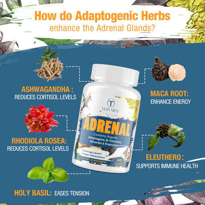 Tervaies Adrenal Support Adaptogen Supplements – Rhodiola, Ashwagandha, Holy Basil & Eleuthero | 120 Vegan Tablets