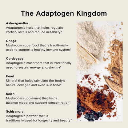 Moon Juice Organic Ashwagandha Supplement – KSM-66 Root Powder (15:1) for Focus, Mood & Stress, 72 Servings