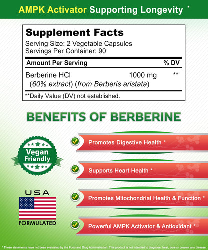 aSquared Nutrition Pure Berberine 1000mg – 180 Veggie Capsules | Max Strength HCl