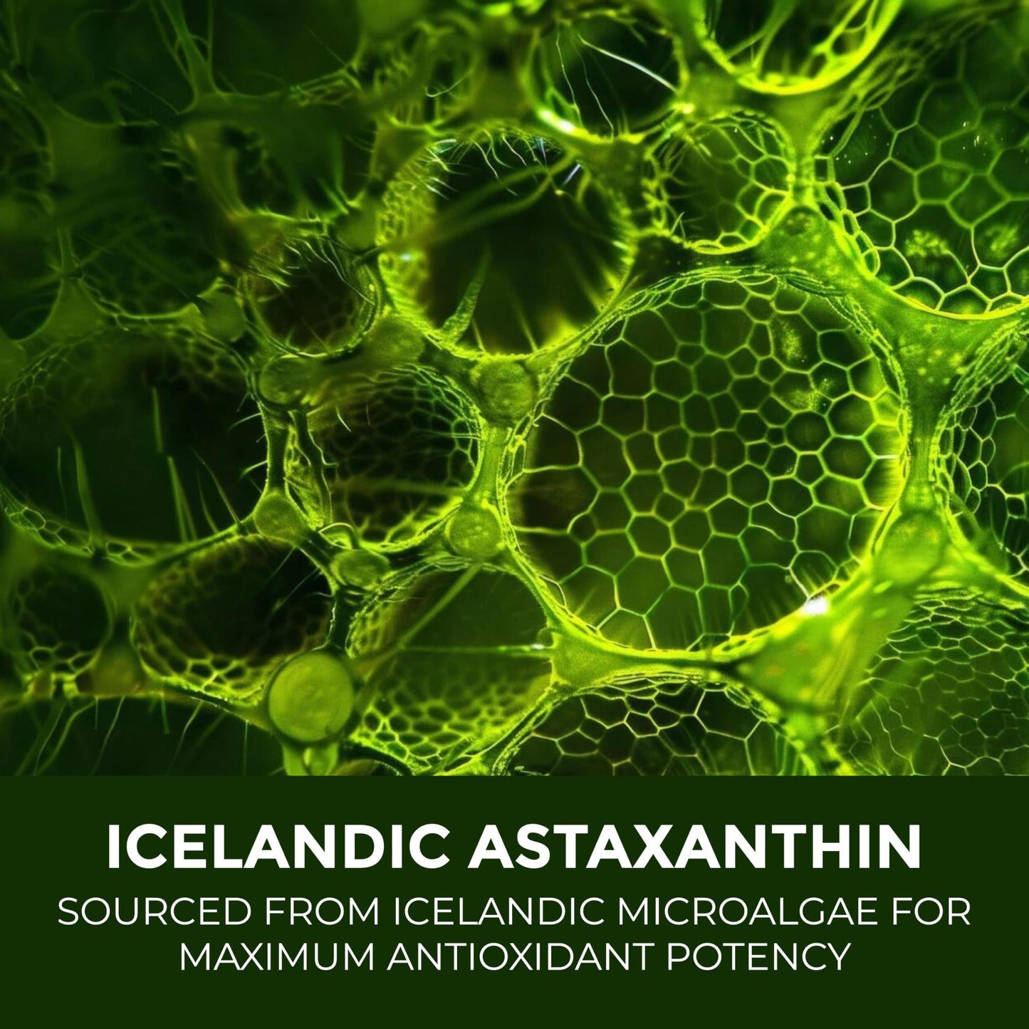 Astaxanthin 12mg – 60-Day Non-GMO Antioxidant for Skin, Eyes & Cellular Health