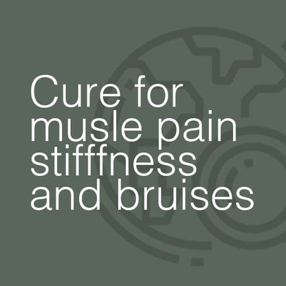 Miers Laboratories Arnica Extra Homeopathic Tablets – Muscle Pain & Aches Relief