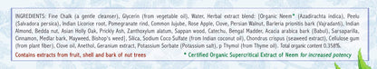 Auromere Ayurvedic Toothpaste - Mint Free, Vegan, Neem & Peelu (2 Pack)