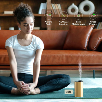 Waterless Diffuser Starter Kit – Ritz-C. Inspired 30mL Fragrance Oil | Battery-Operated Portable Scent Diffuser (Gold ANX)