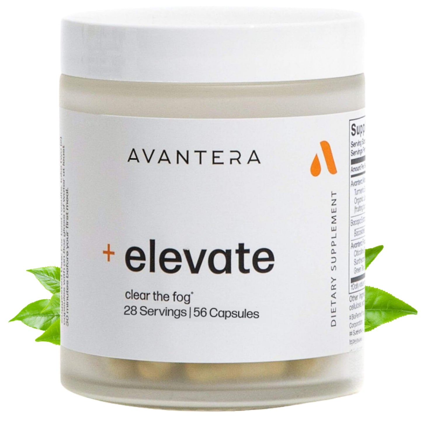 Avantera Elevate Premium Nootropic — Focus, Memory & Energy (56 Count)
