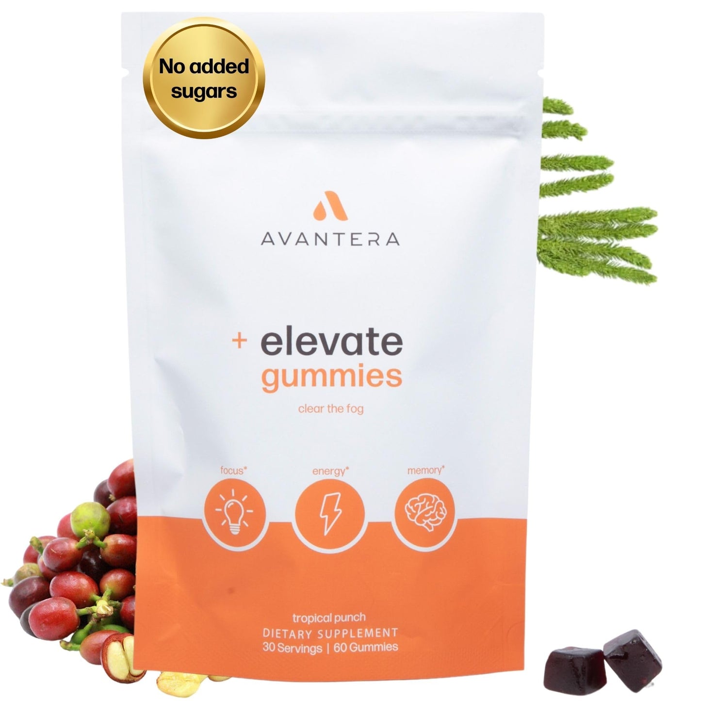 Avantera Elevate Gummies – Premium Nootropic for Focus, Memory & Energy