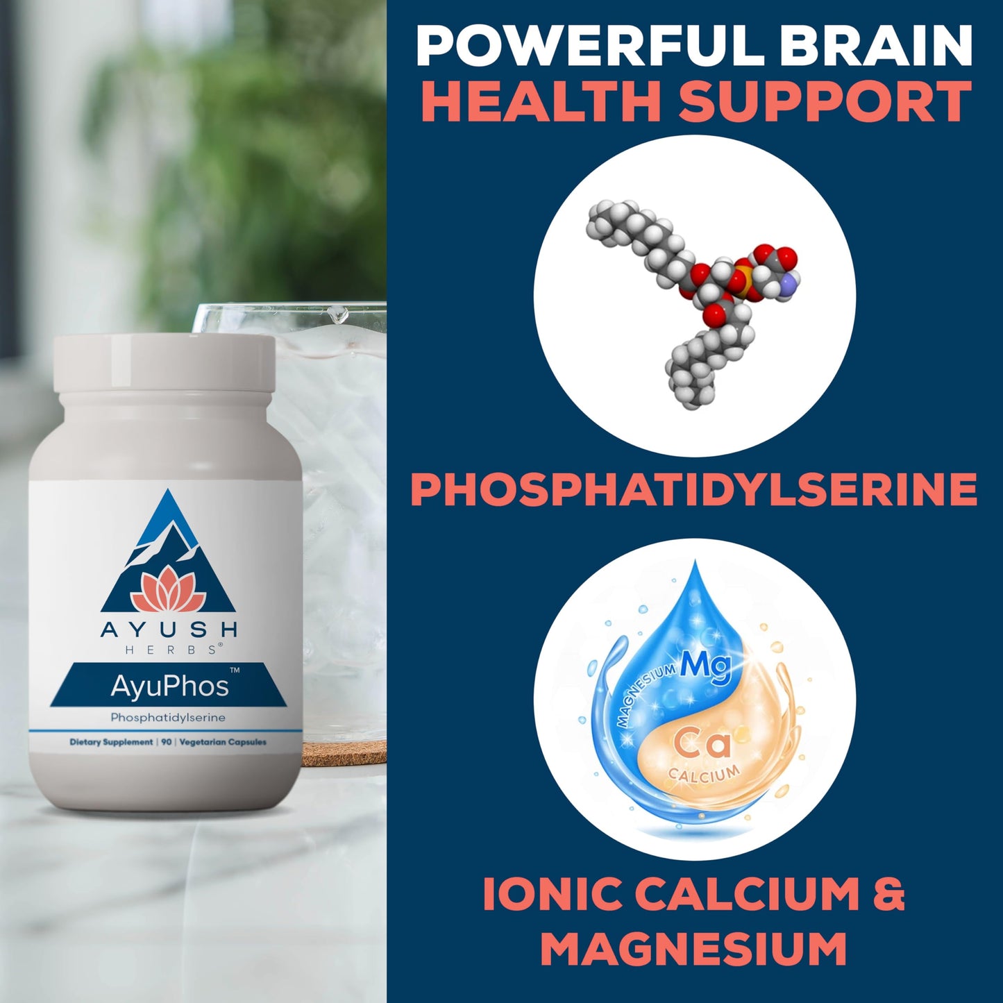 AyuPhos Phosphatidylserine Supplement - 200mg, Soy-Free, Brain & Memory Support - 90 Veg Capsules