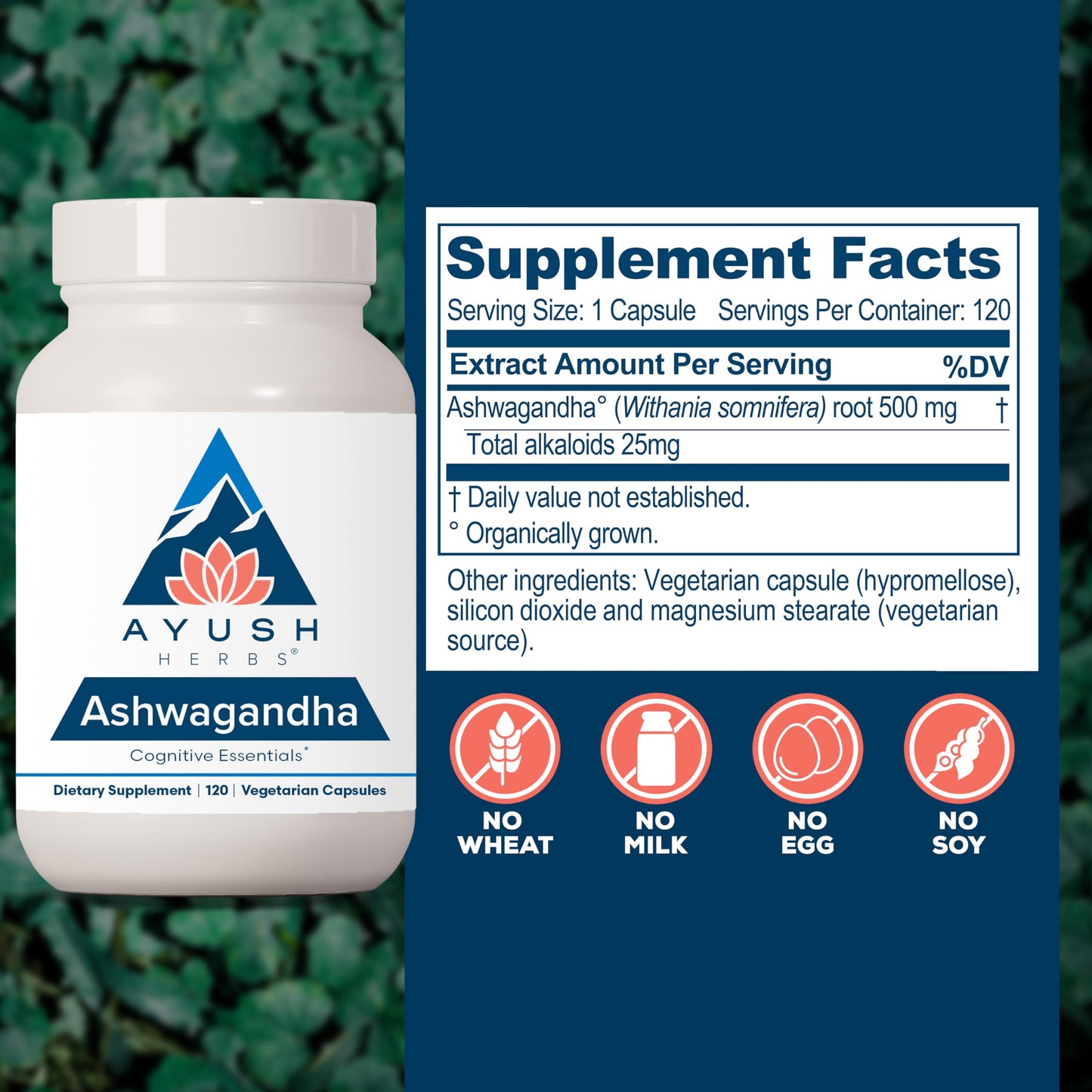 Ayush Herbs Ashwagandha Capsules - 500 mg, 120 Veg Caplets for Stress & Focus