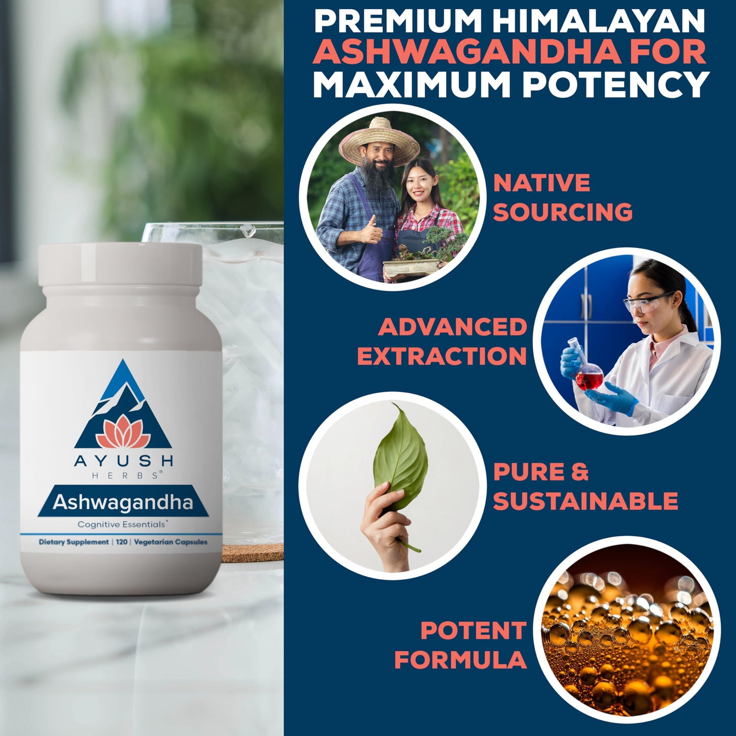 Ayush Herbs Ashwagandha Capsules - 500 mg, 120 Veg Caplets for Stress & Focus