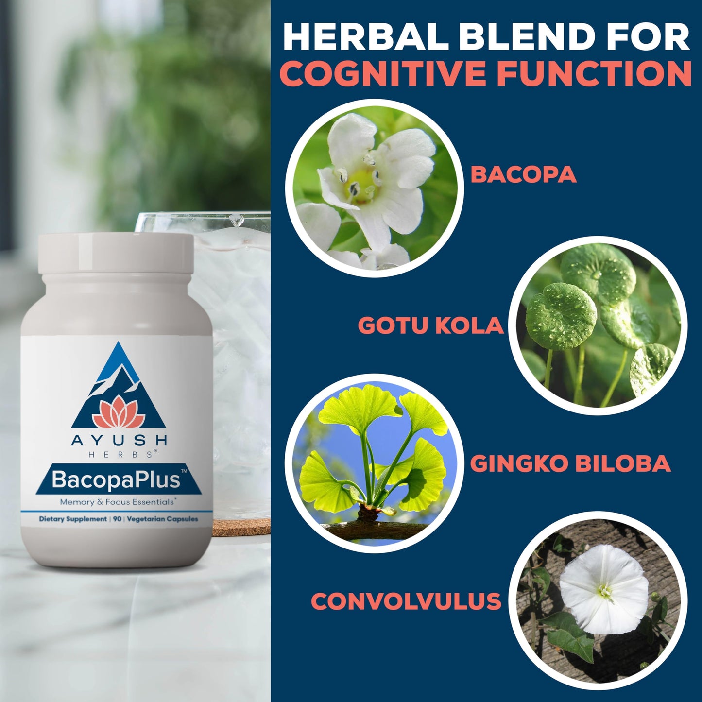 Ayush Herbs BacopaPlus – Organic Bacopa for Memory & Focus (90 VCaps)