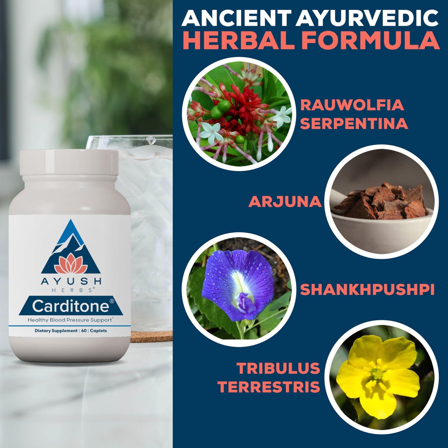 Ayush Herbs Carditone – Natural Heart Health Supplement with Rauwolfia, Arjuna, Calcium & Magnesium | 60 Vegetarian Caplets