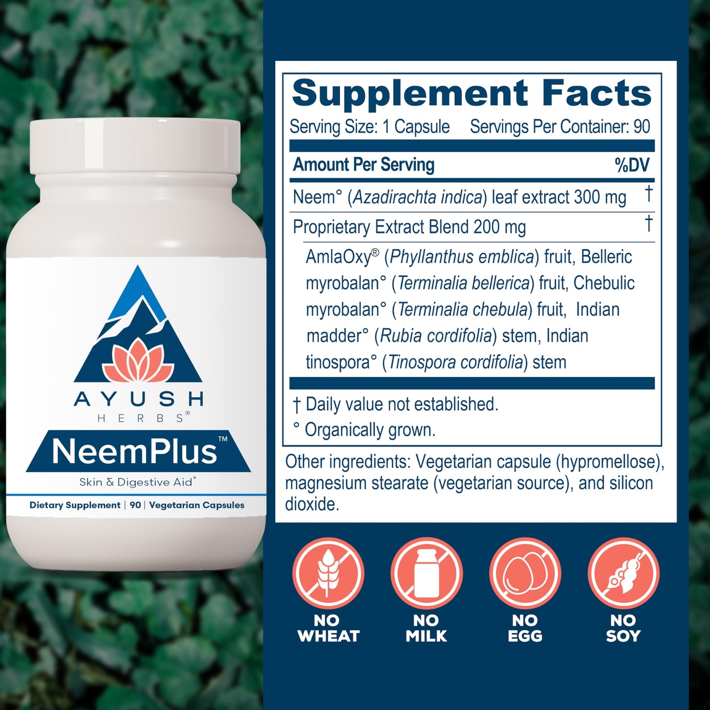 Ayush Herbs Neem Plus - Digestive Health, Skin & Immune Support, 90 Vegetarian Capsules
