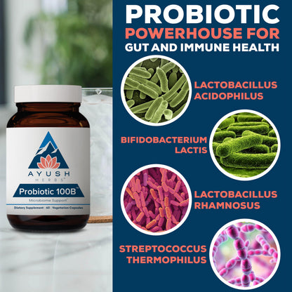 Ayush Herbs All-Natural Probiotic 100B, 60 Capsules – AY147