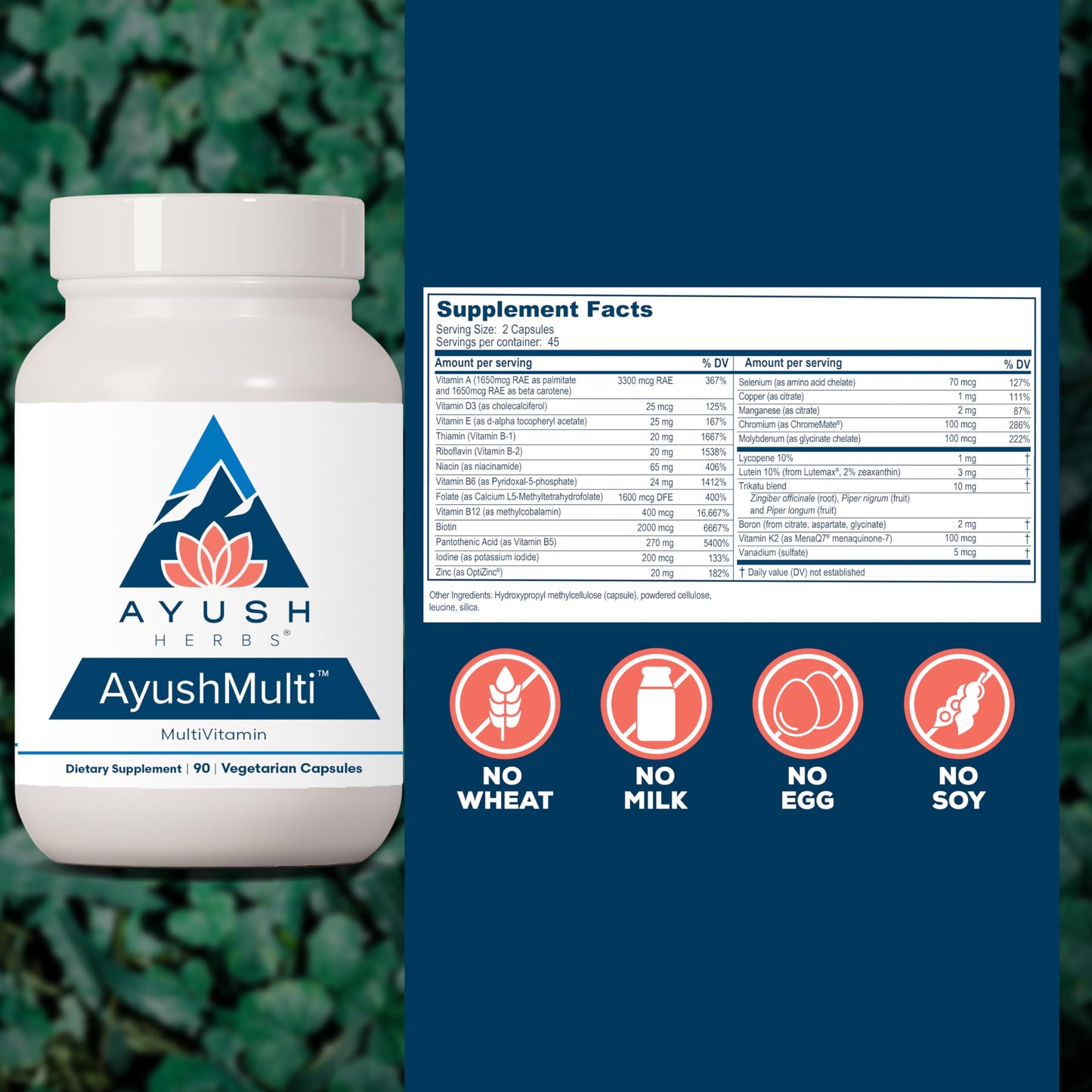 Ayush Herbs Ayush Multi - Multivitamin for Men & Women | 90 Vegetarian Capsules
