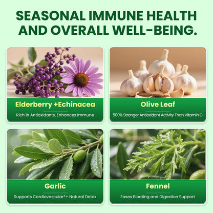 B BEWORTHS Oil of Oregano with Black Seed Oil – Carvacrol Oregano Oil Capsules for Immune & Digestive Support