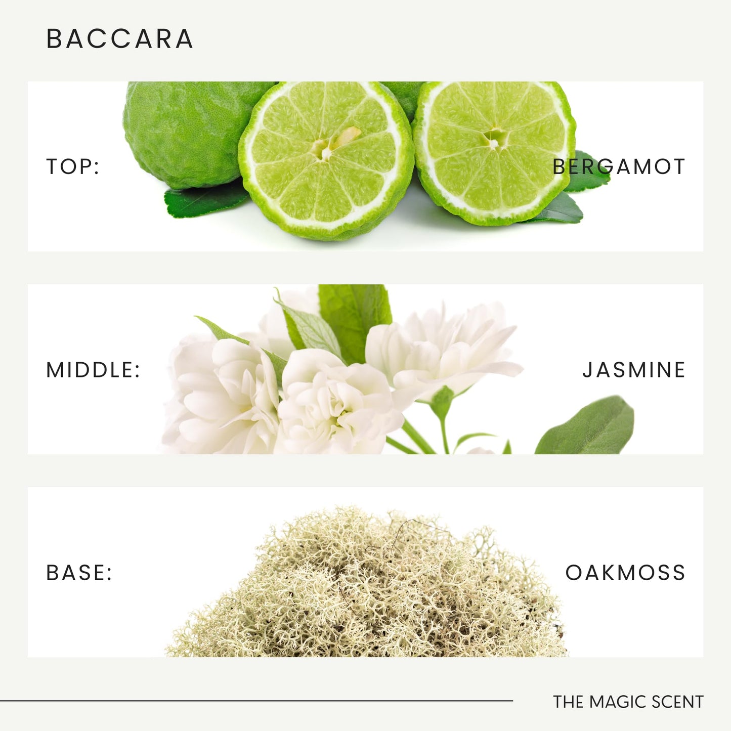 The Magic Scent Baccara Diffuser Oil – Luxury Hotel & Home Scents (16.9 oz / 500 mL)