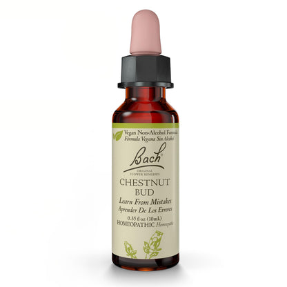 Chestnut Bud Non-Alcohol Flower Remedy – Bach Original | Learn From Mistakes | 10mL Dropper
