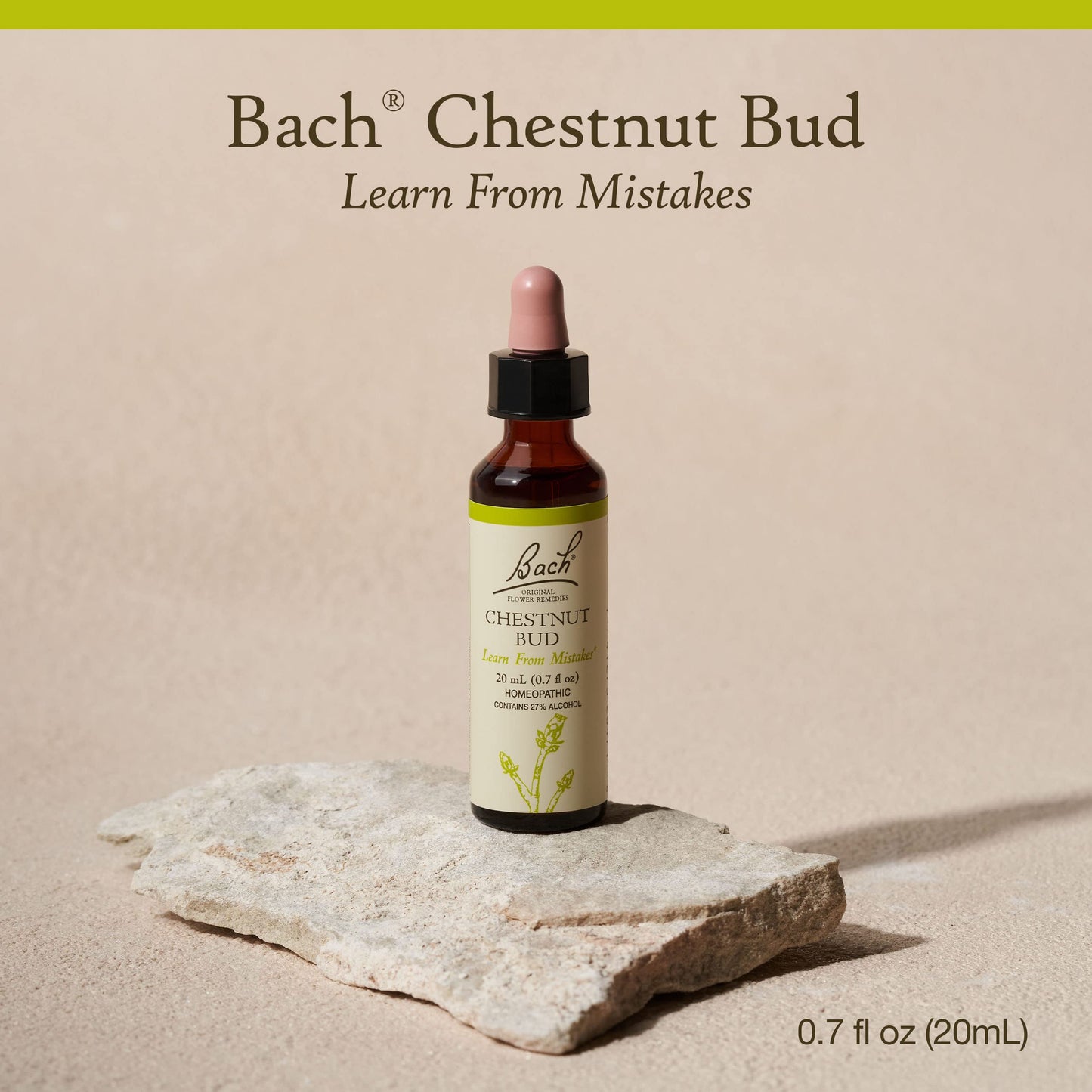 Chestnut Bud Bach Original Flower Remedy – Learn from Mistakes (20mL Dropper)