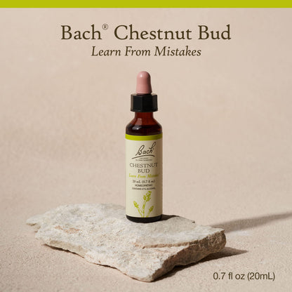 Chestnut Bud Bach Original Flower Remedy – Learn from Mistakes (20mL Dropper)