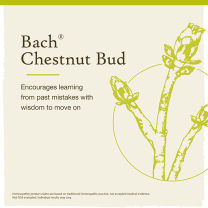 Chestnut Bud Bach Original Flower Remedy – Learn from Mistakes (20mL Dropper)