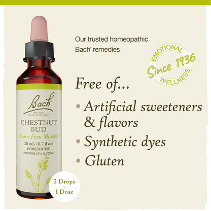Chestnut Bud Bach Original Flower Remedy – Learn from Mistakes (20mL Dropper)