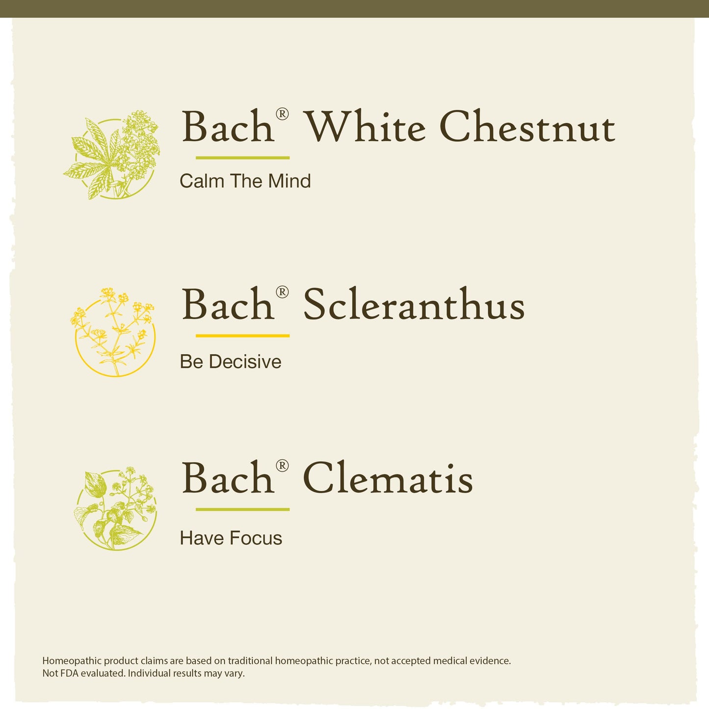 Bach Original Flower Remedies Clarity of Mind Kit – Focus & Mindfulness (3 x 20mL Droppers)