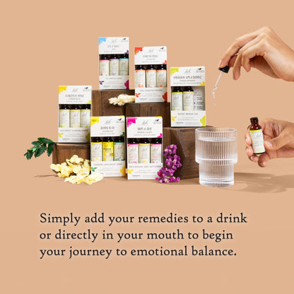 Bach Original Flower Remedies - Clarity Of Mind Trio Kit (Non-Alcohol, 3 x 10mL)
